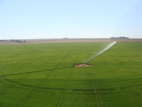 /album/pivos/img1-gr-jpg/