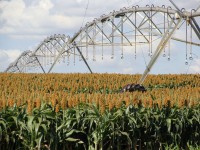 /album/pivos/img7-gr-jpg/